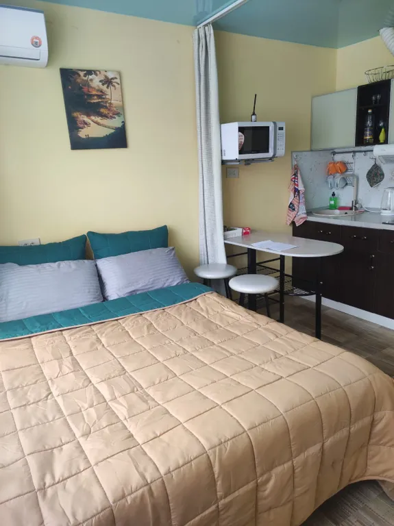 Квартира Уютная студия, Центр города в шаговой доступности — аренда посуточно в Владивосток