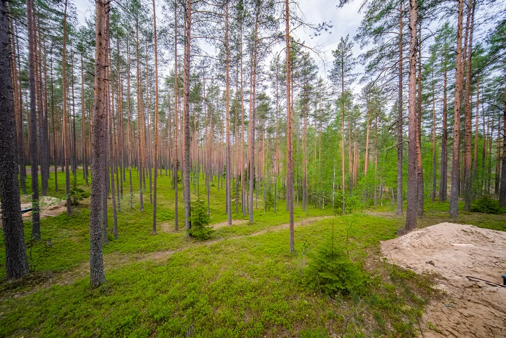 Загородный клуб Радужный лес
