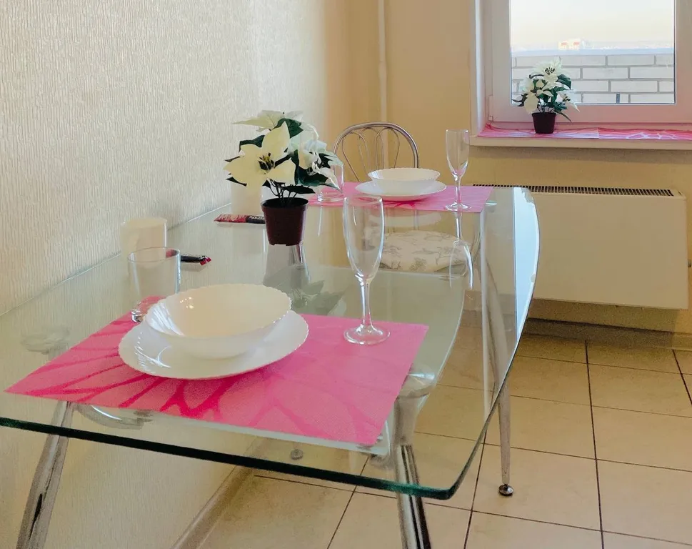 Апартаменты комфорт в центре с дополнительным диваном рядом с ОКБ