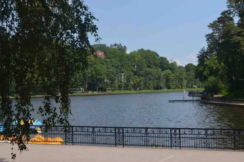 Уютная студия с видом на лес