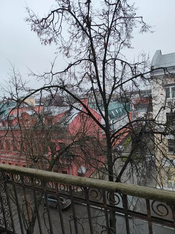 Дыхание Витебска