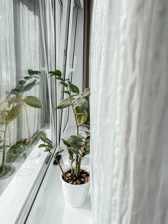 Квартира на берегу Волги