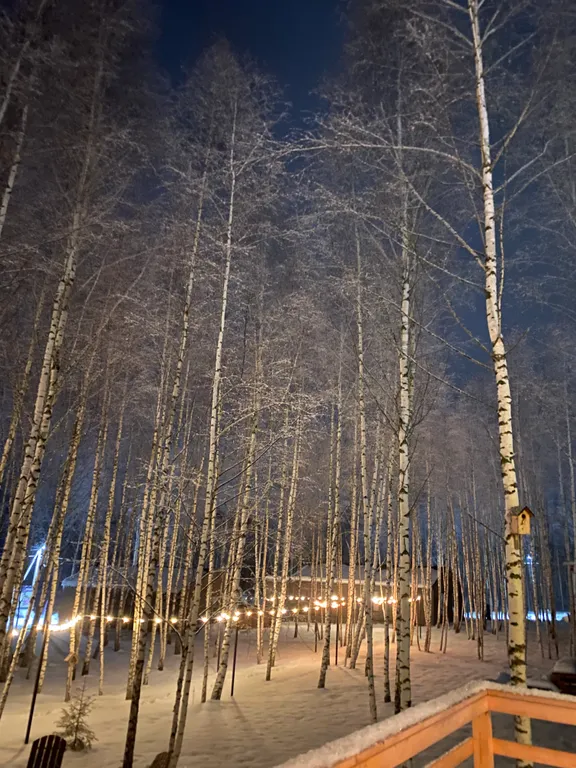 Дом на берегу Истринского водохранилища