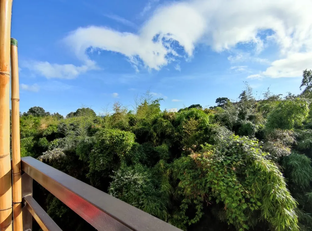 Квартира Уютная квартира с видом на Парк Южных Культур — Сириус