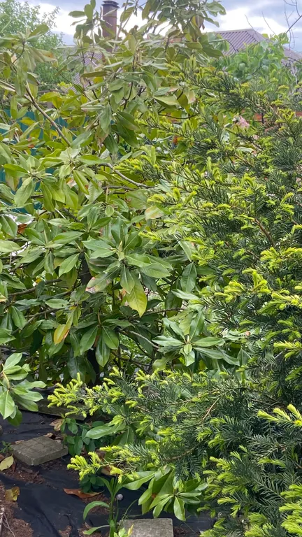 Полдома в центре города недалеко центр. рынок, удобный выезд в горы