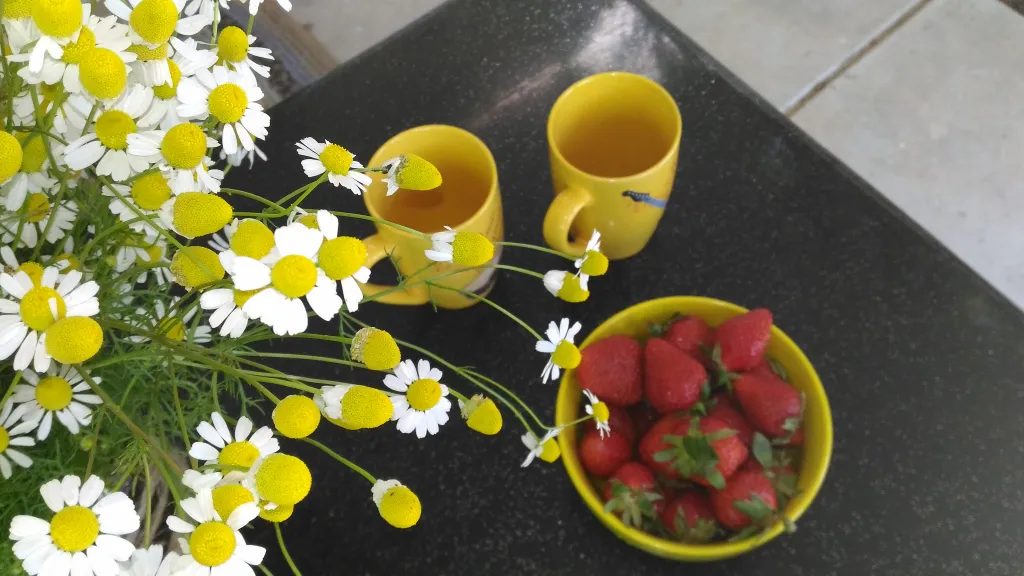 Квартира 1-комнатная Квартира — Евпатория