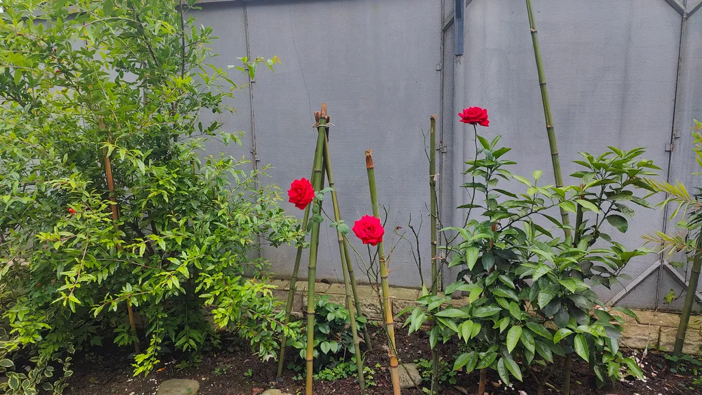 Домик с садом под ключ в пешей доступности от моря