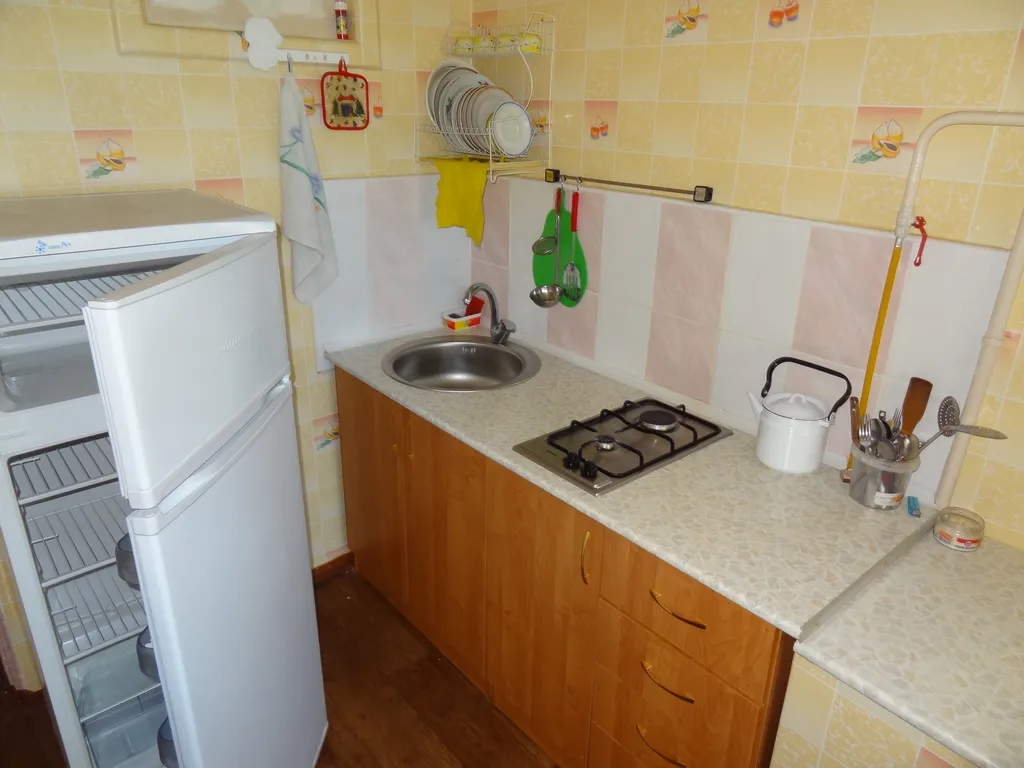 Большая функциональная квартира у вокзала, Звёздный