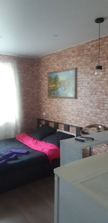 Квартира Квартира Небольшая уютная студия — Шушары