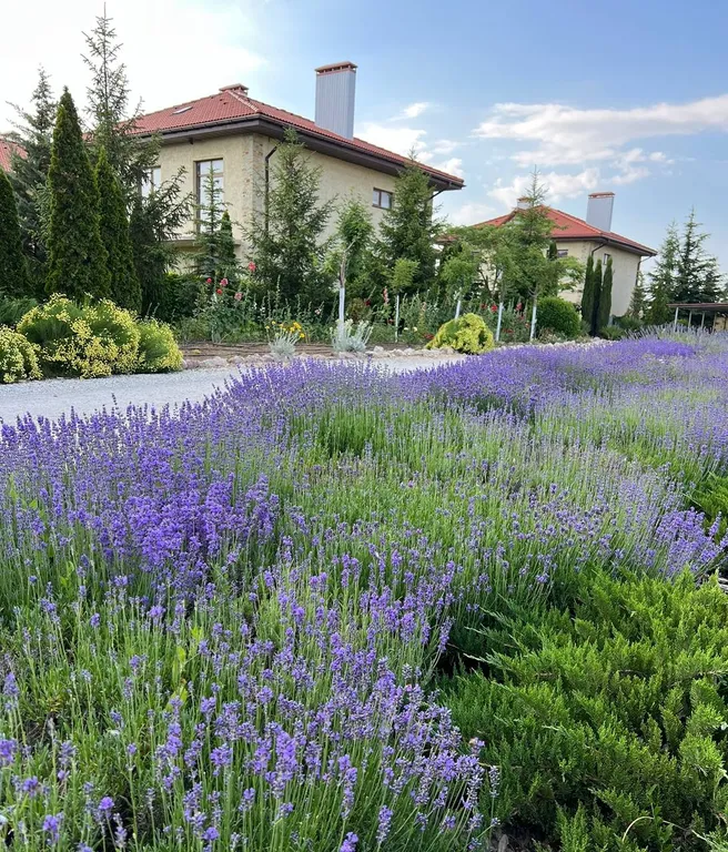 Апартаменты на первой линии в Севастополе, Любимовка