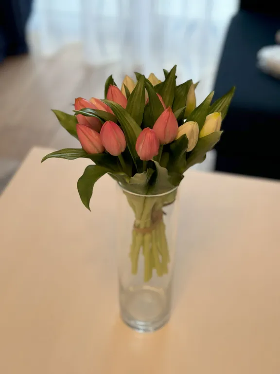 Современный уют, 1-комнатная квартира в ж/к Atlant