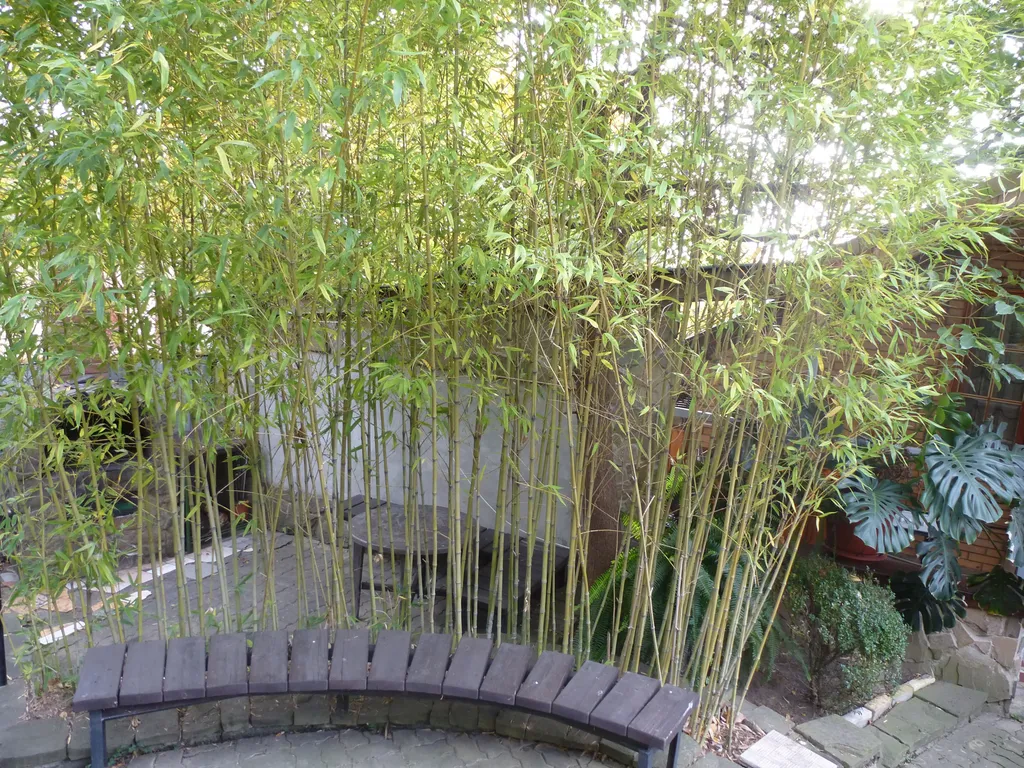 4-комнатный Дом