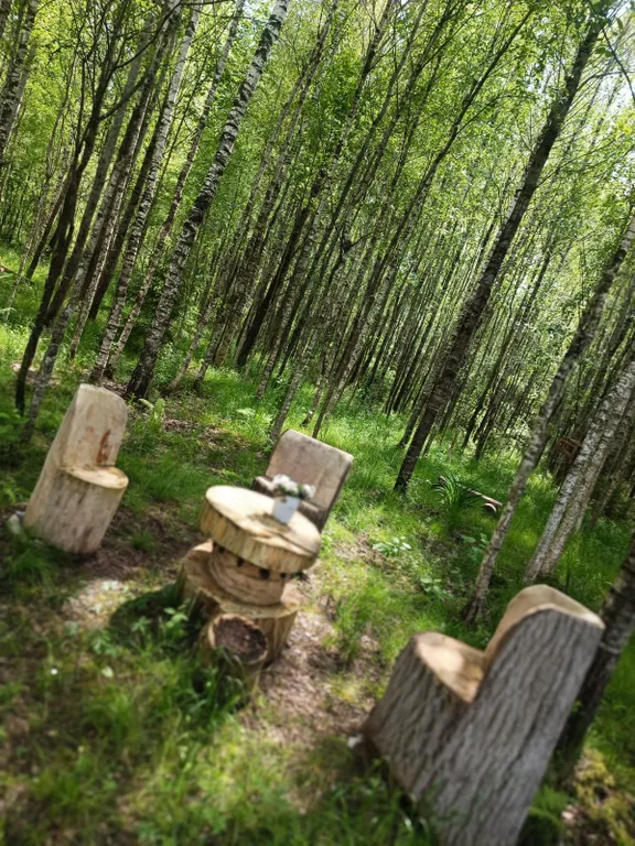 Домик в лесу с баней