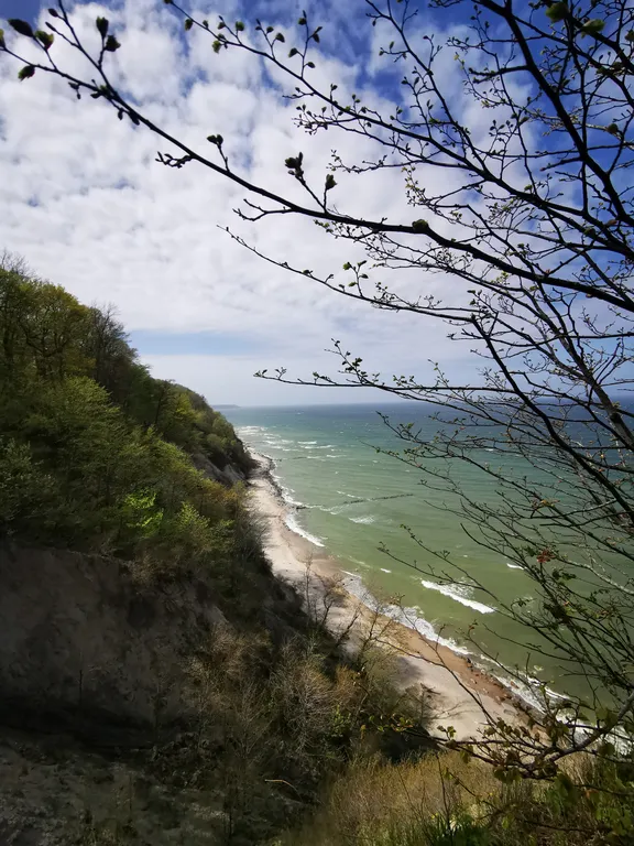 Квартира Квартира в доме лесника 1900 года — Светлогорск