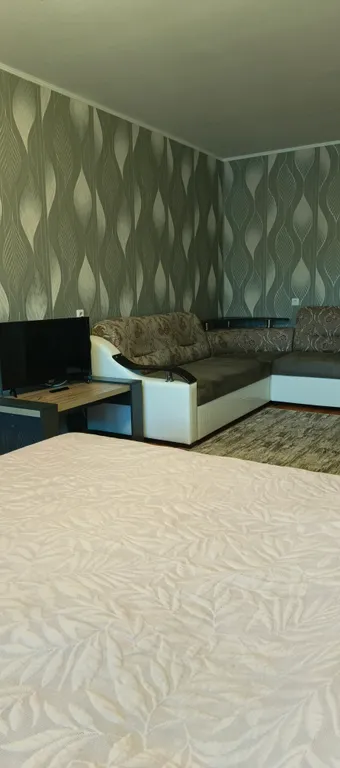 Комфортная квартира напротив Ледового Дворца