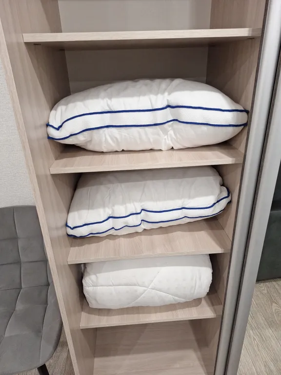 1-комнатная квартира с прекрасным видом из окна