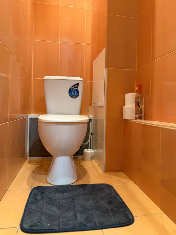 Современная квартира в самом центре города