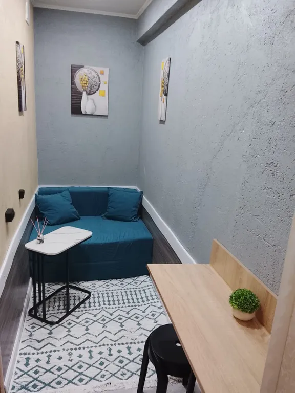 Капсула одноместная с раскладным диваном и душем