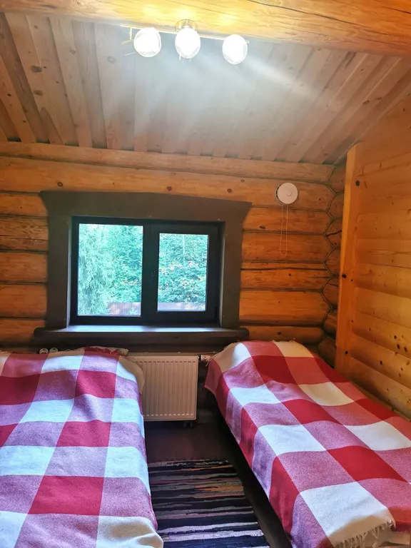 Уютный коттедж из бруса с бассейном