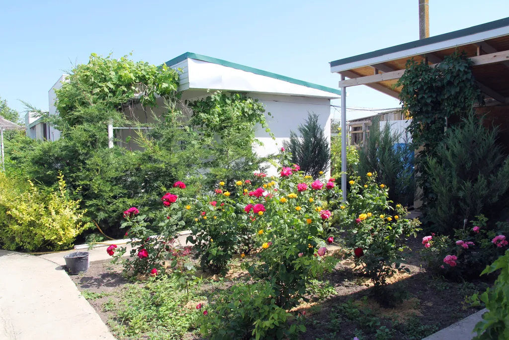 Апартаменты + патио