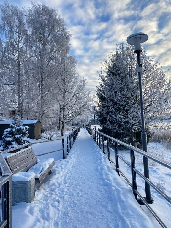 Коттедж на Неве