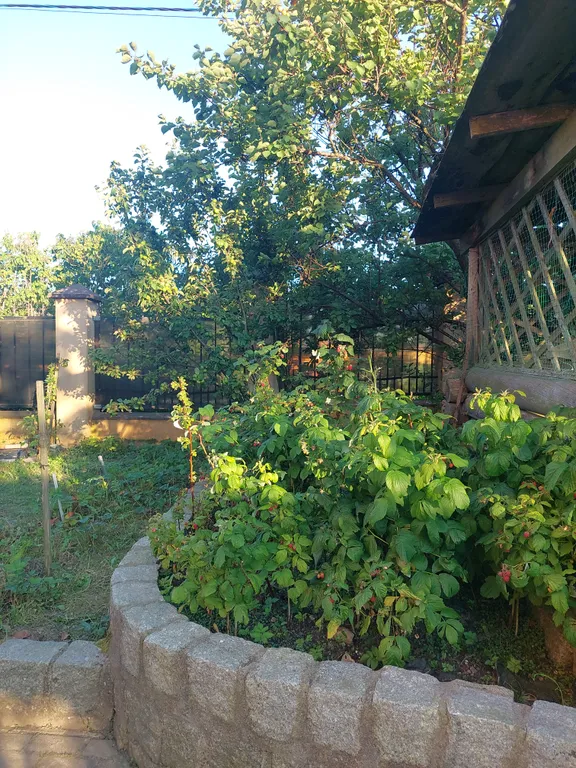 Дом на 10 человек.