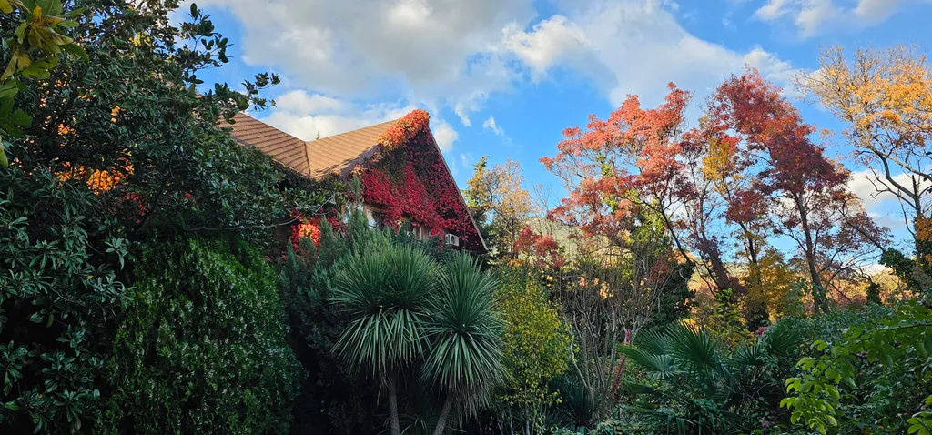 Дом с теплым бассейном у моря в Ялте