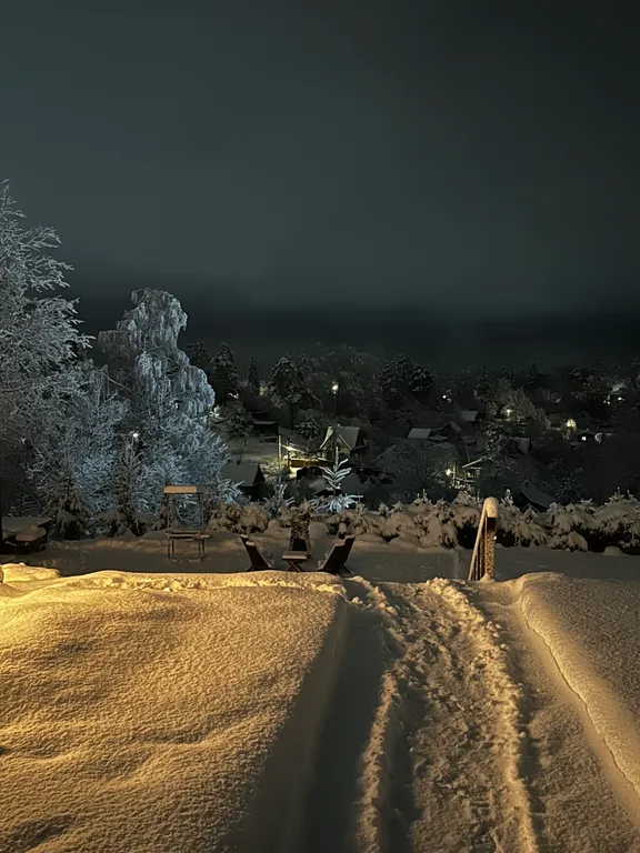 Коттедж Панорамный домик на склоне у Игоры — Орехово