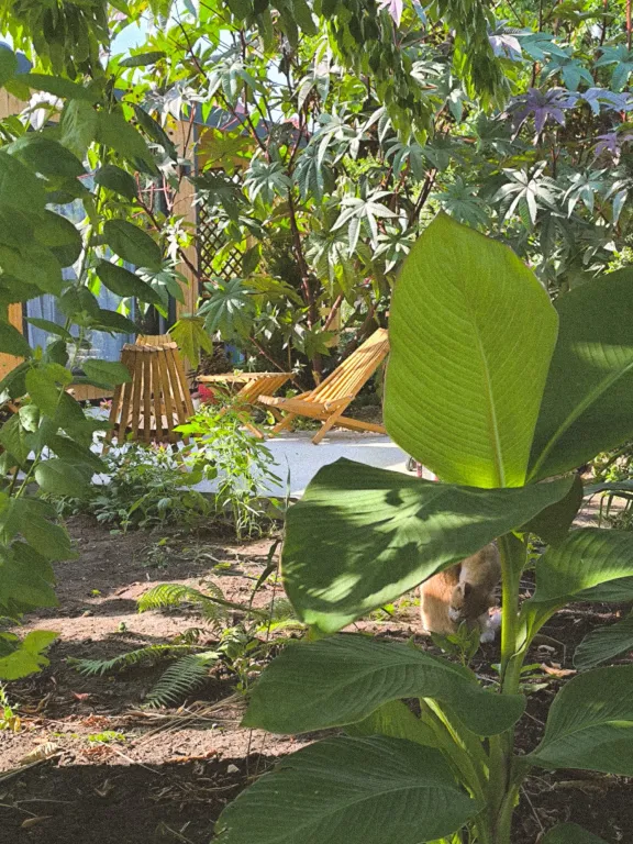 Тини хаус уютный домик на море