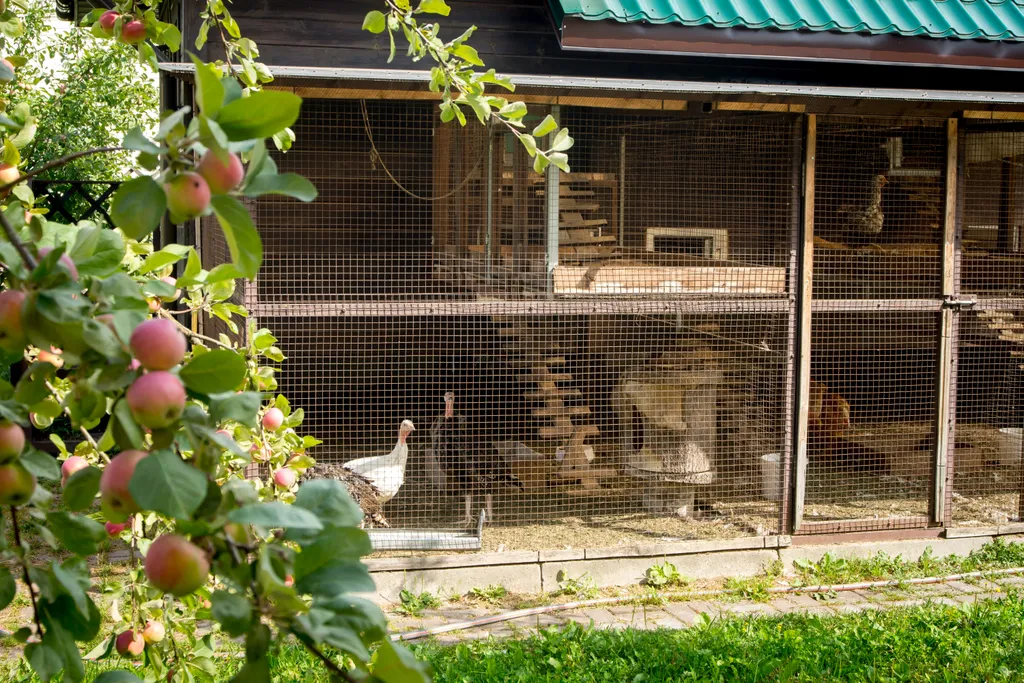 Коттедж Коттедж Уютное место для загородного отдыха — Ропша