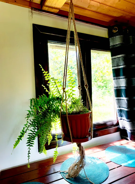 Коттедж Домик в яблоневом саду — Светлогорск