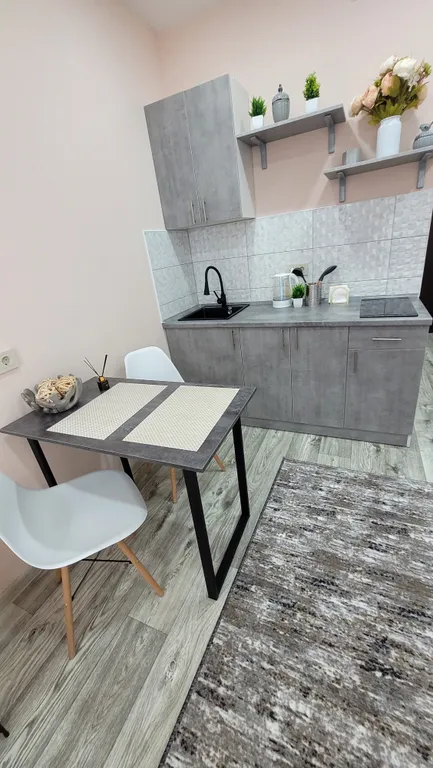 Апартаменты в новом доме около проспекта Ленина и парка Ангелов