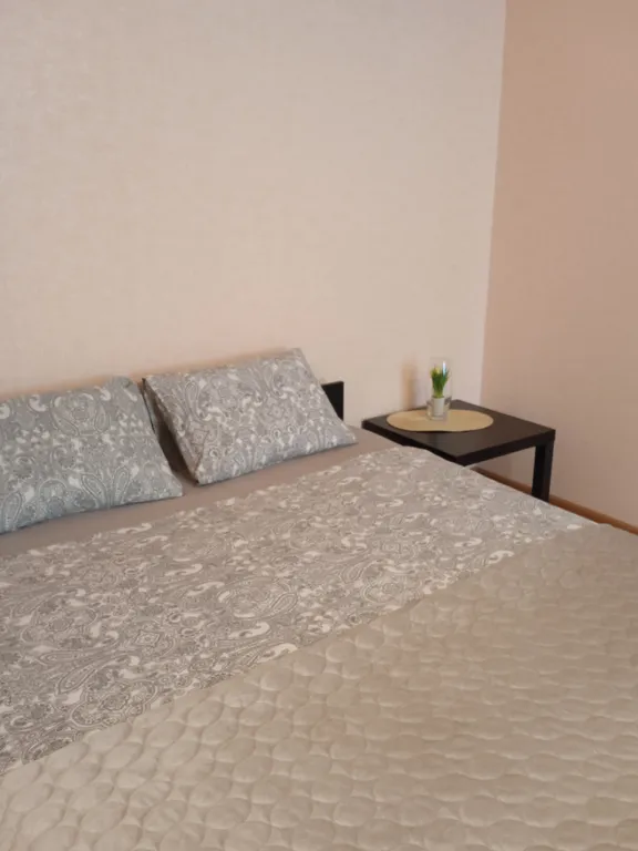 Уютная квартира в Новом центре