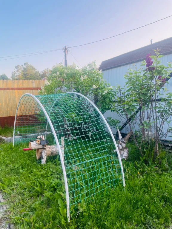 Дом в лесном массиве с закрытой территорией