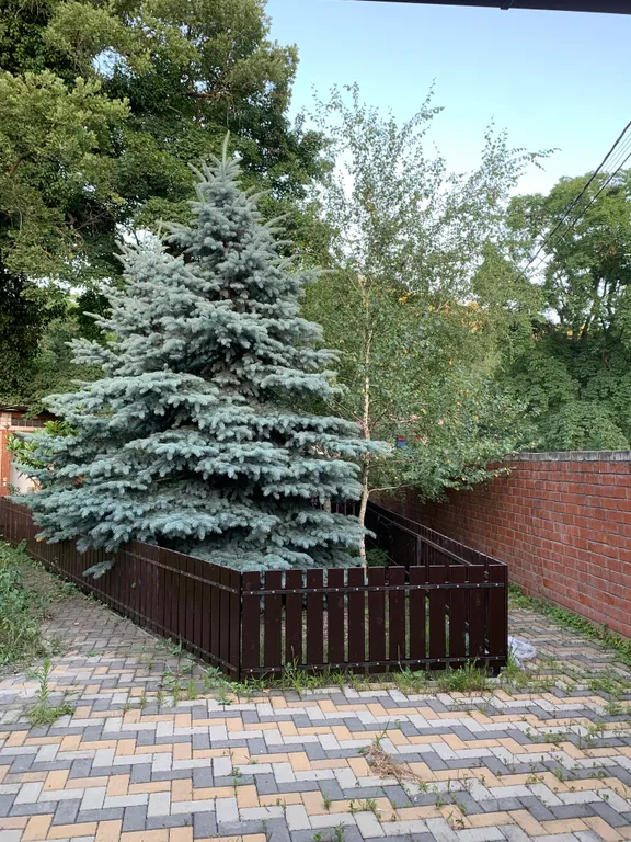 Коттедж Суперкомфортный дом на Черном море для проживания — Геленджик