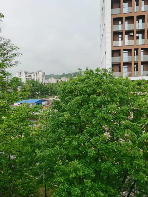 Апартаменты у моря Райский сад