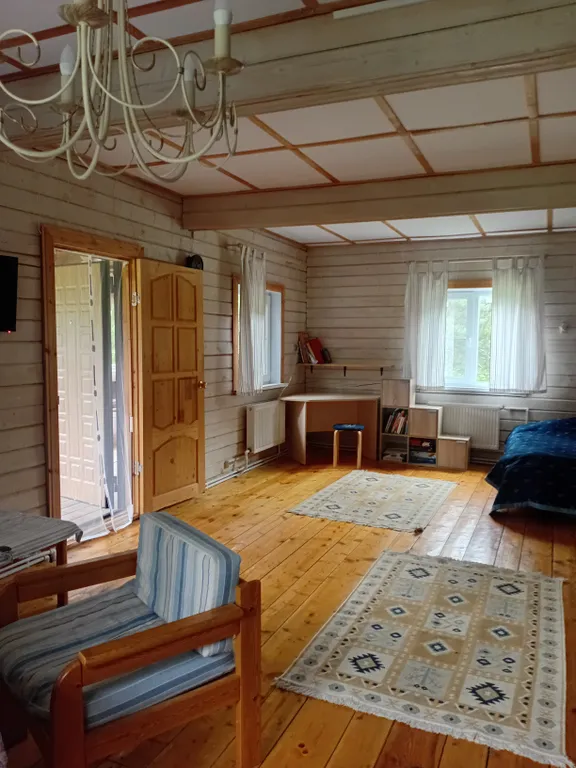 Утро в сосновом бору у озера