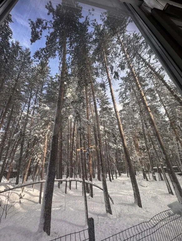 Новая уютная квартира у реки Баксан