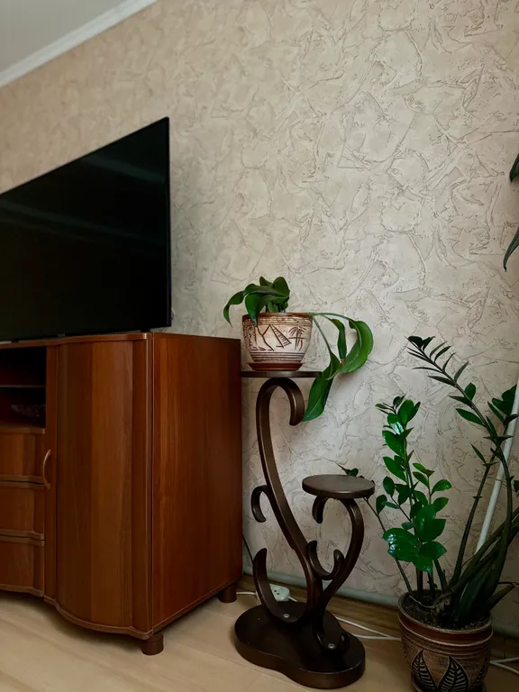 Уютный дом в исторической черте города