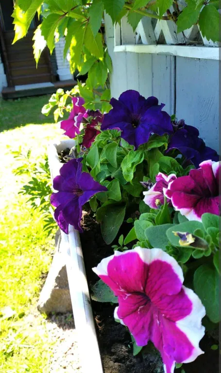 Коттедж Домик с баней у Гатчинского дворца и парка — Гатчина