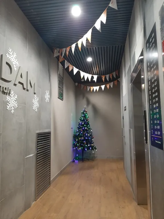 Студия Голландская мечта у Столицы