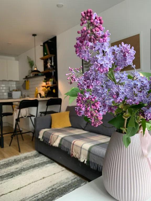 Квартира для вашего отдыха в Карелии