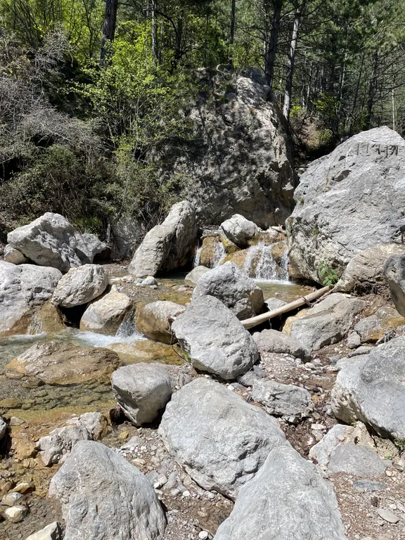 SPA-дом в Ялте. Бассейн круглый год, сауна, 10 соток рая+треккинг.