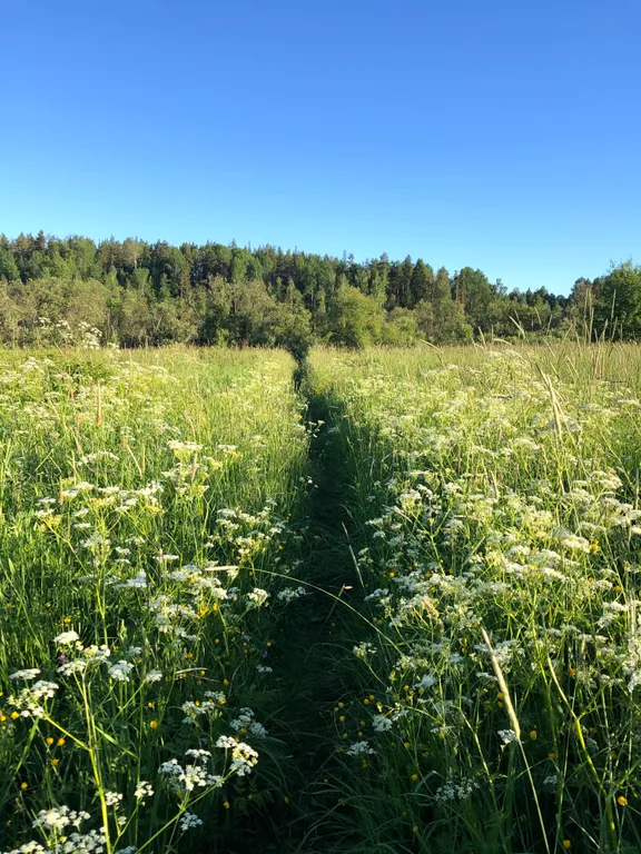 Бунгало у озера