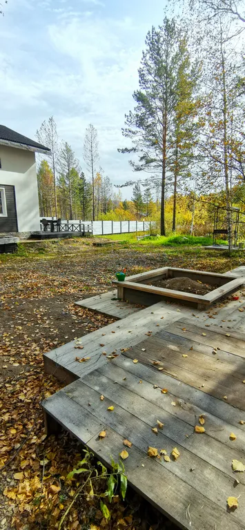 Дом с котом