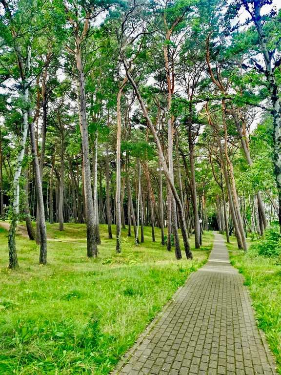 Квартира Апартаменты премиум-класса Пионерские огни — Пионерский