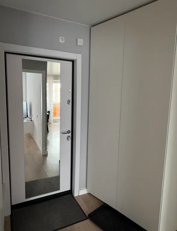 Светлая, уютная и современная однокомнатная квартира