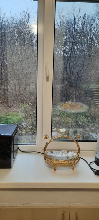 Уютная квартира с видом на лес