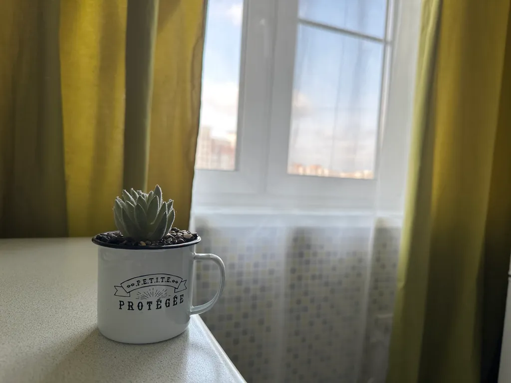 Квартира Квартира, где приветствует  вас атмосфера уюта и любви — Ярославль