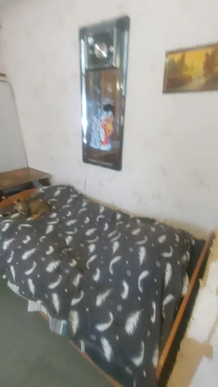 Просторный дом на участке 20 соток